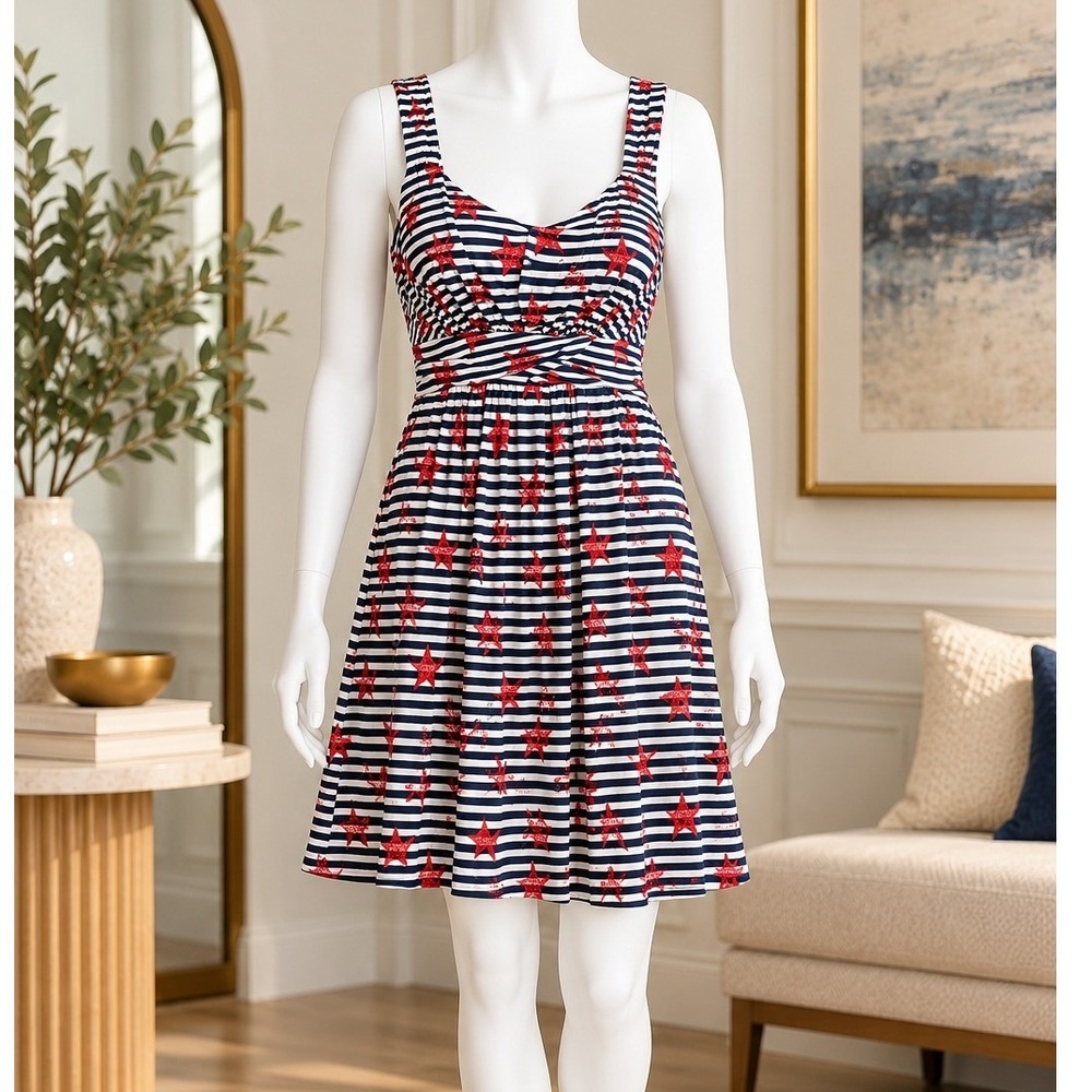 Style & Co Womens Tank Dress Patriotic Star Stripe Americana Petite Large
